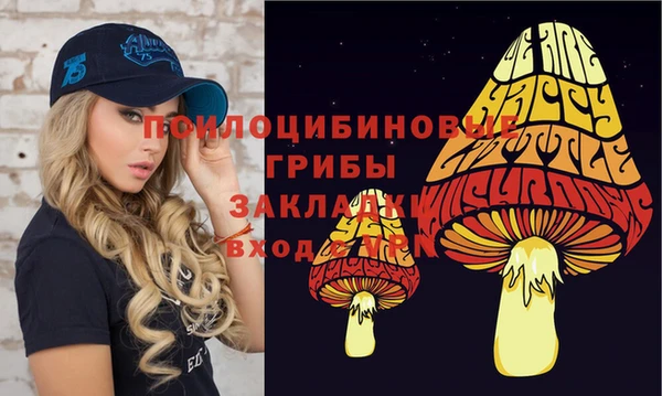 амф Абаза