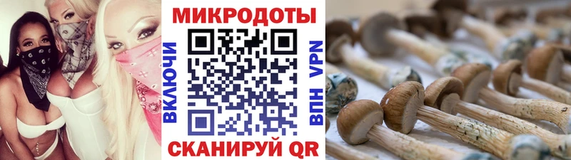 Галлюциногенные грибы Cubensis  Котовск 